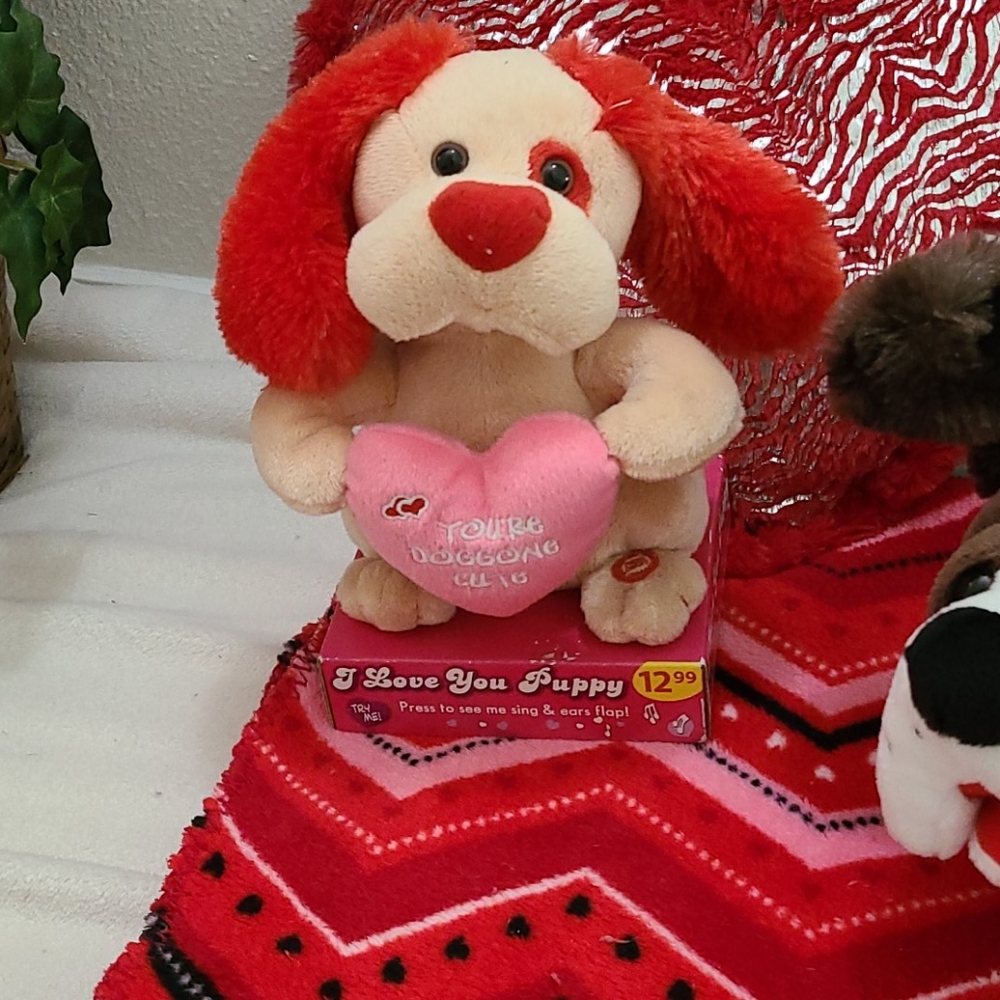 Valentines Day Gift Bundle - Picture 10 of 12
